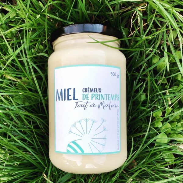 Miel crémeux de fleurs de printemps